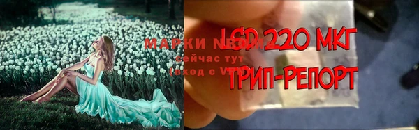 молекула духа Баксан