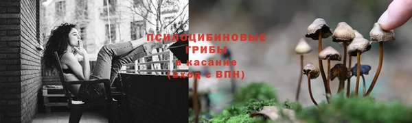 дурь Балабаново