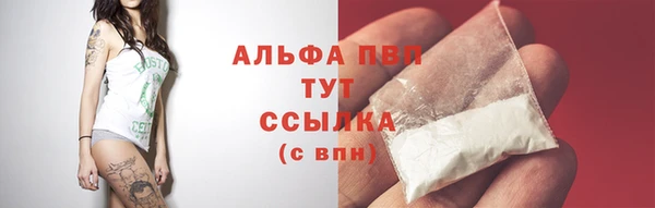молекула духа Баксан