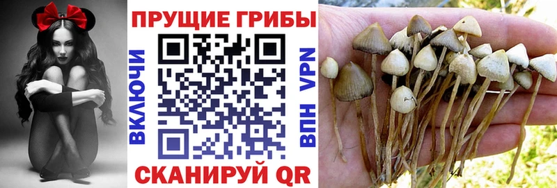 гидра ССЫЛКА  Сегежа  Псилоцибиновые грибы MAGIC MUSHROOMS  купить наркотики сайты 